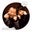 Tuân HollaBack's profile image