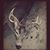 Dakota Tidd's profile image