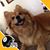 Mary Doyle's profile image