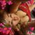 Michelle Schallock's profile image