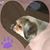 Stacy Latham's profile image