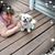 Jessica Kittell's profile image