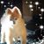 Debra Derr's profile image