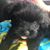 Dana Johnson Lofgren's profile image