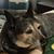 Frances Restagno Schiavo's profile image