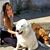 Tonilynn Gorsche's profile image