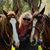 Dee Dee Kramer's profile image