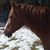 Tanya Hayes's profile image