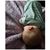Debi Barlow's profile image