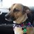 Jacky Vogt's profile image