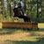 Jessica McCoy-Storton's profile image