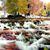 Theresa Guill Garten's profile image
