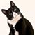 Jill Herbig Reece's profile image