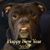 Paula Schaefer Hunt's profile image