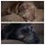 Julie Marsh Spencer's profile image