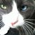 Pat Azarian's profile image