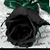 Cynthia Fuentes-Angulo's profile image