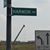Bettina Harmon's profile image