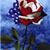 Roger Bray's profile image