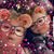 Melissa Woodward Hasselmeier's profile image