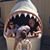 Kyleigh Staley's profile image