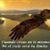 Jorge Luis Juarez's profile image