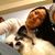 Justine Woo's profile image