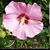 Colleen Chapman's profile image