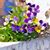 Cindy Haen's profile image