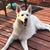 Mary Ellen Sun's profile image