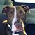 Jera Gallemore's profile image