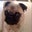 Kimberly Ligocki's profile image