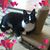 Lori S. Wicker's profile image