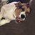 Sarah Marie Scott's profile image