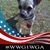Julie Murphy's profile image