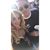 Rebecca Rhian Clarke's profile image