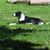 Lisa M Stanley Mostert's profile image