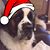 Trisha Sciortino Hagemeyer's profile image