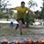 Manuel A. Rodriguez's profile image