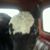 David Rieger's profile image