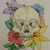 Ryan Gower's profile image