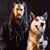 Jordan Wesley Thompson's profile image
