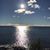 Shari Iverson's profile image