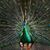 Judy Giannetti's profile image