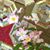 Eleanor Cadiente's profile image