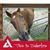 Nancy Williams's profile image