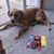 Cheryl Dorich's profile image
