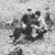 Jim Jill Sauerheber's profile image