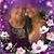 Sharon Buckley's profile image