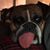 Philip Badillo's profile image